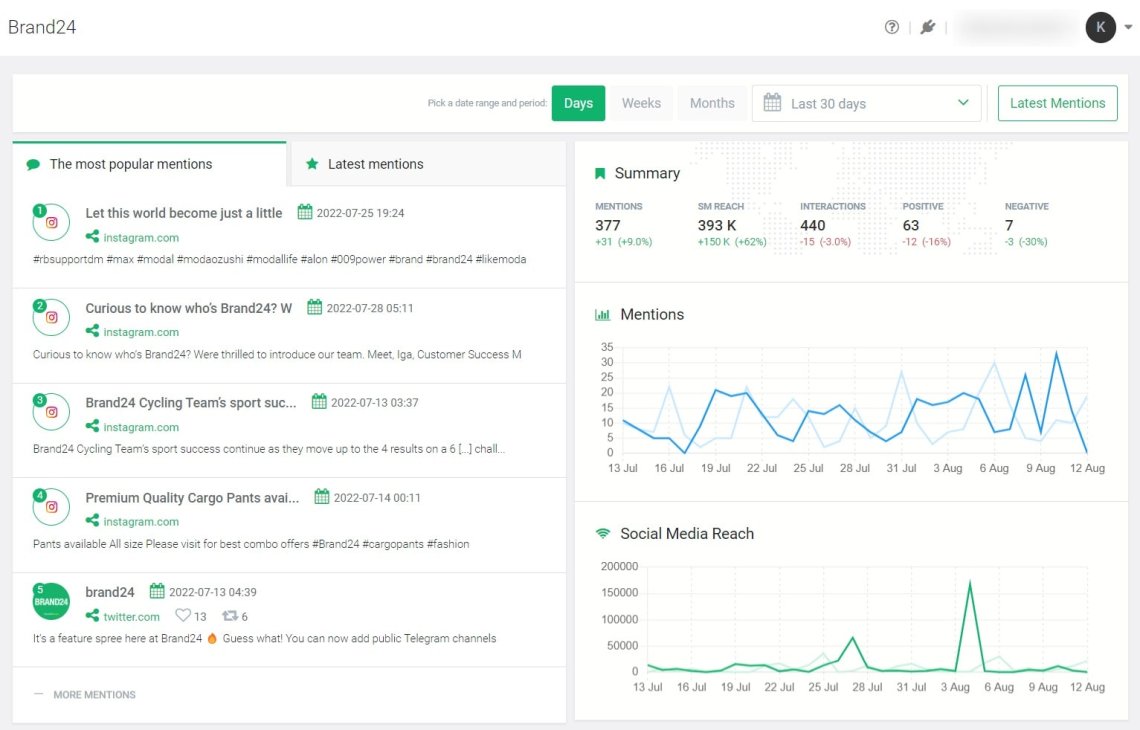 Onglet Résumé - Brand24