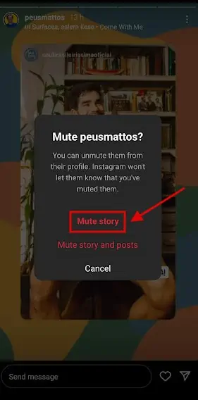Instagramのミュートストーリー