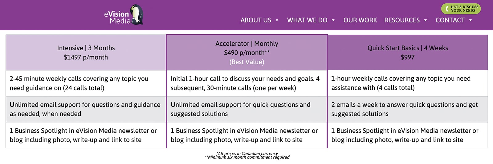 consulenza sui social media - eVision Media