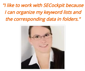 SECockpit-お客様の声-SECockpit-Testimonial-4