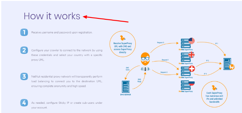 NetNut.io 评论与折扣券 - 它是如何工作的 NetNut.io Review With Discount Coupon- How It Works