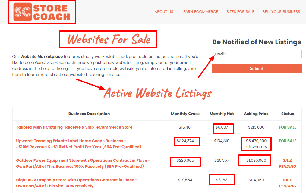 Store Coach Review- Website For Sales