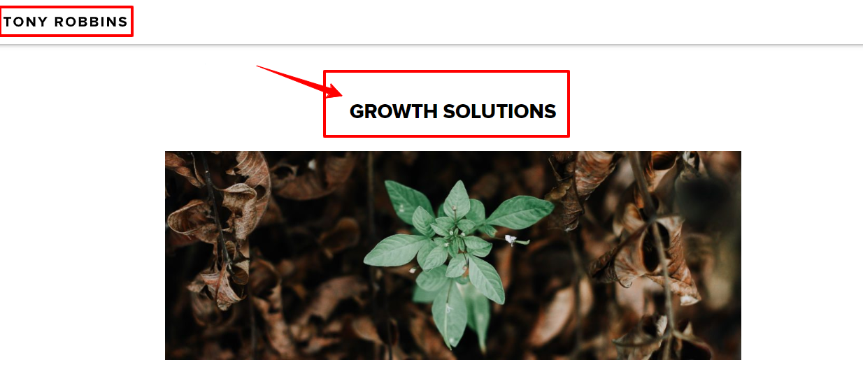 Soluciones de crecimiento empresarial para lograr el éxito Tony Robbins Business Growth Solutions for Achieving Success Tony Robbins