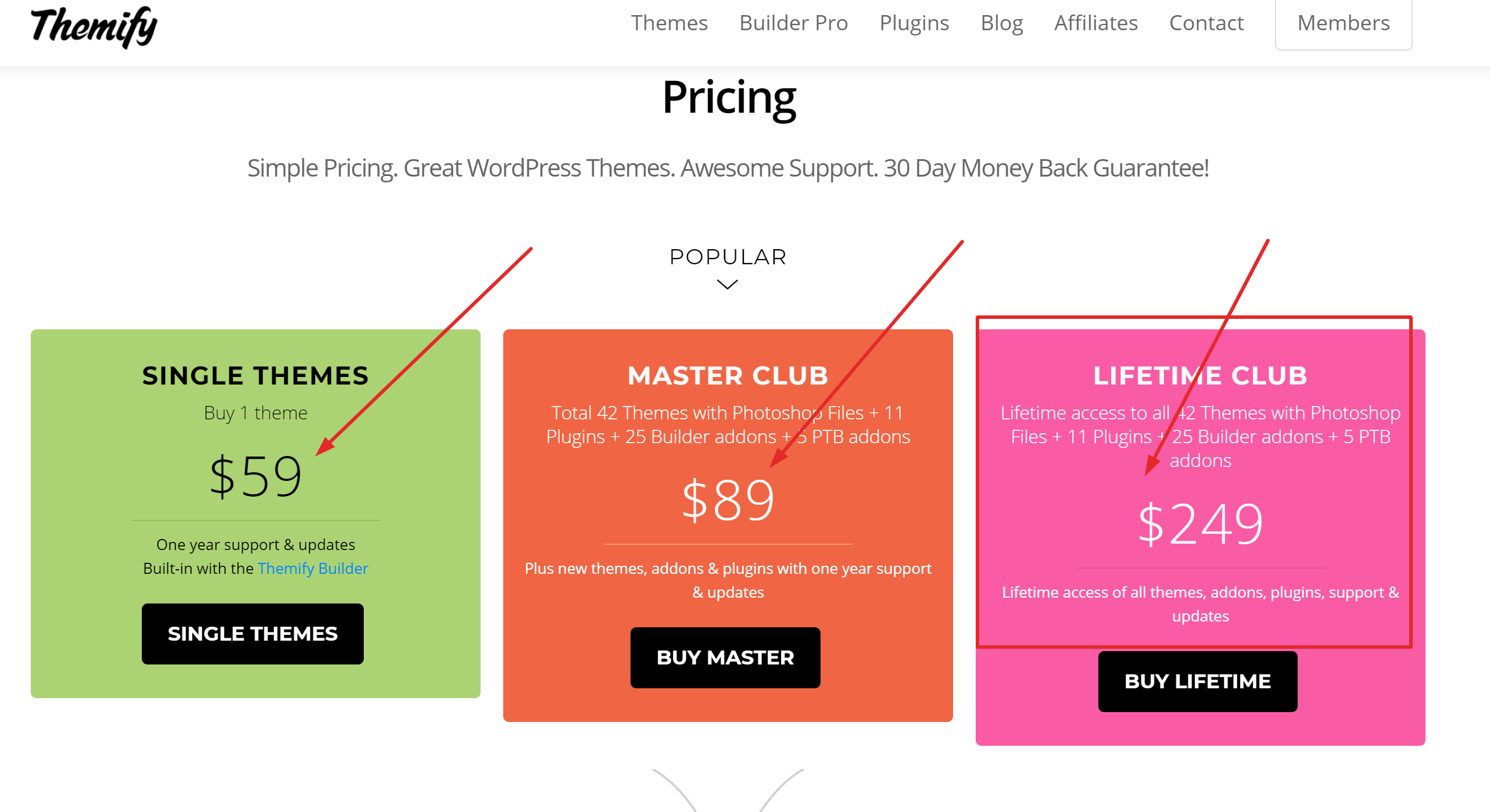 Themify special coupon codes