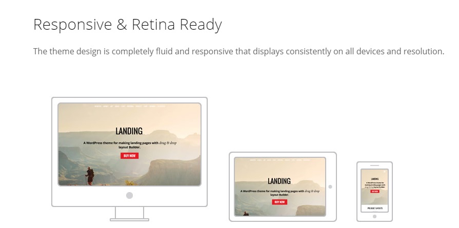 망막 테마 테마화