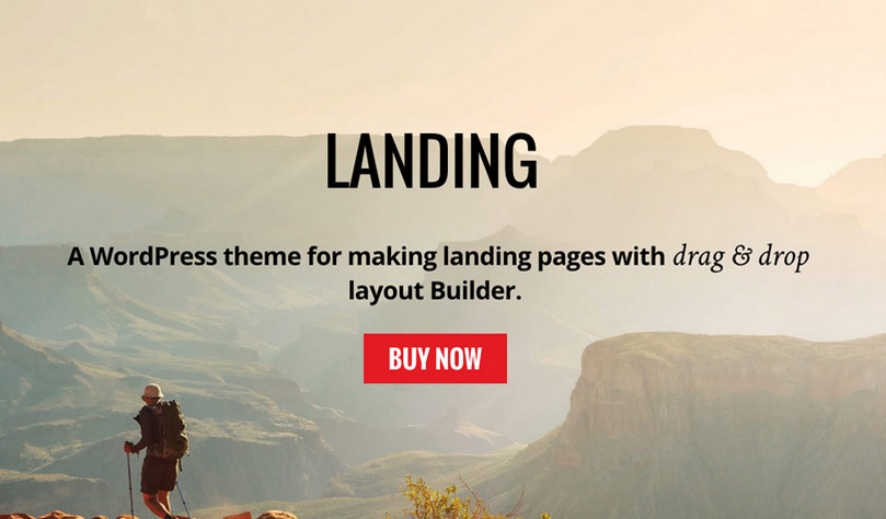 테마로 멋진 랜딩 페이지 구축