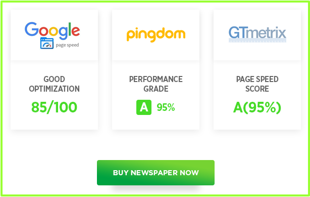 Newspaper Theme Review- Page Loading Score