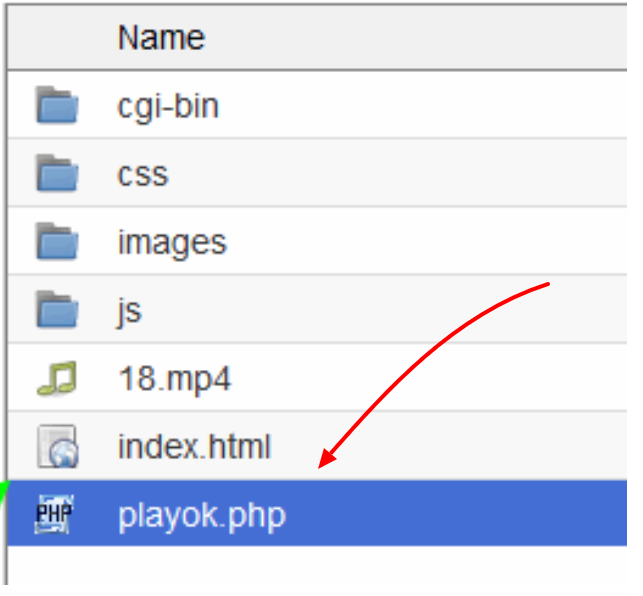Cloak Facebook Ads With Peerclick- Add Scripts