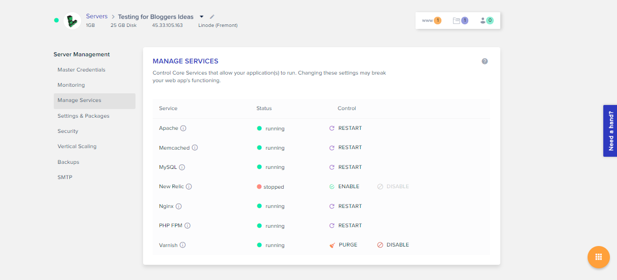 Cloudways Review- Manage Services