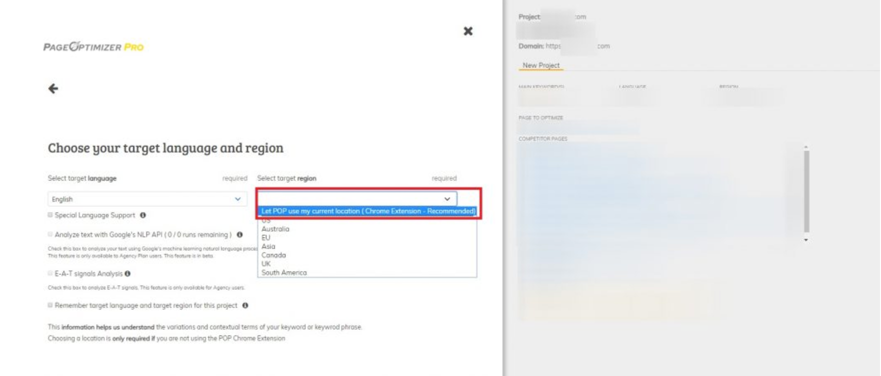 Extension de l'optimiseur de page Pro pour Chrome