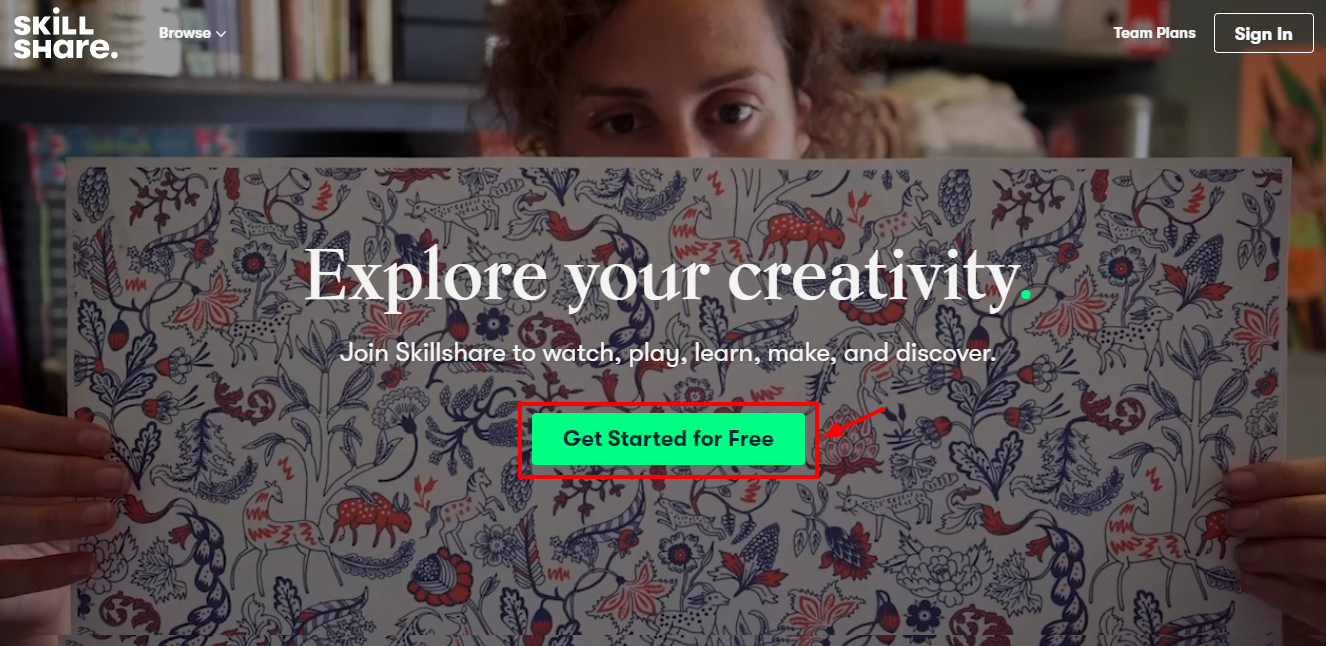Skillshare Overview Treehouse Review