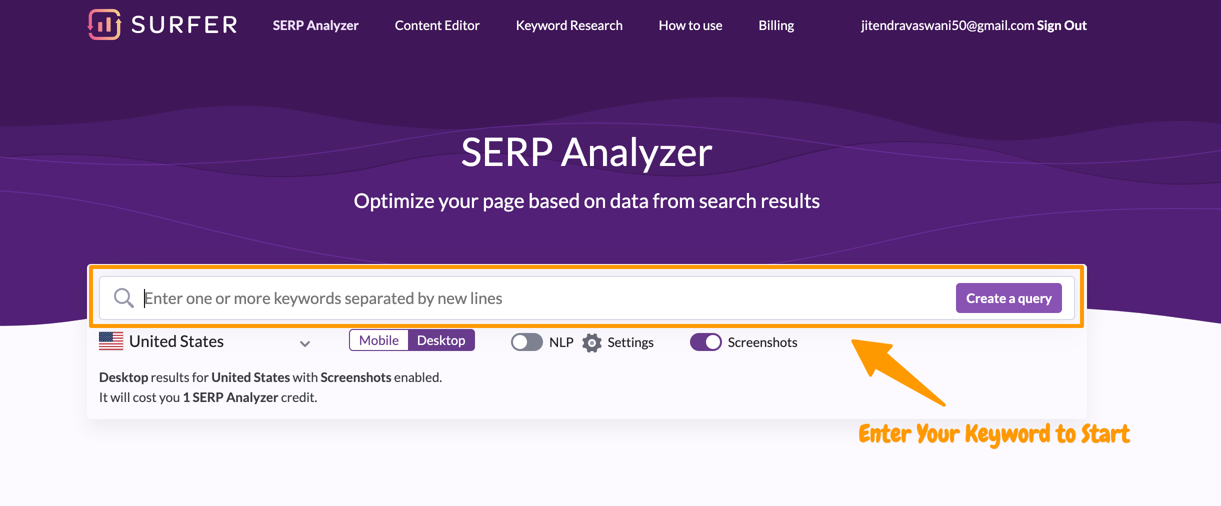 Surfer SEO-输入您的关键字以开始