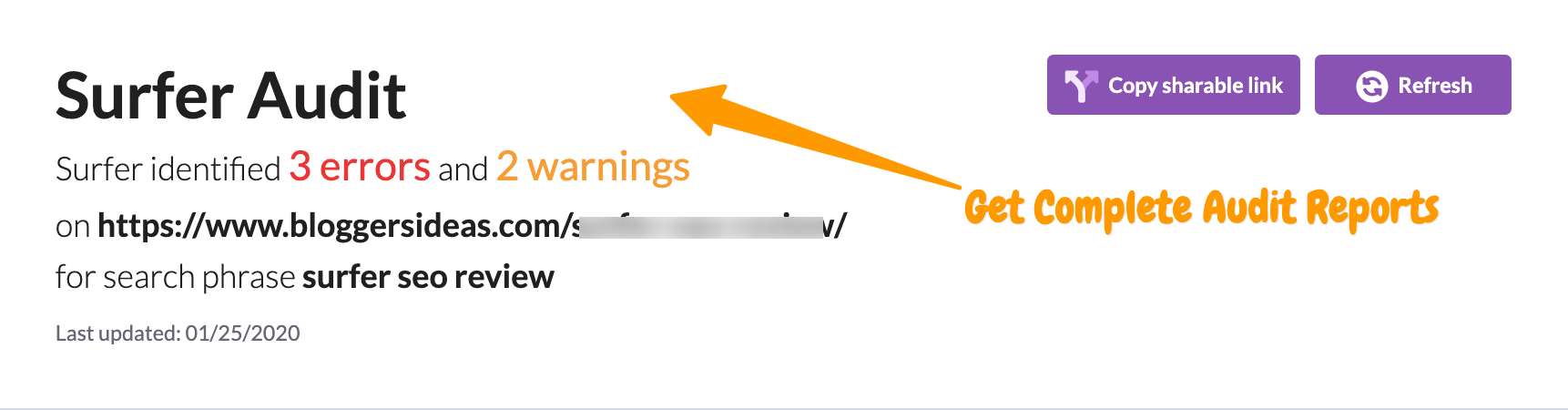 完整的审计报告