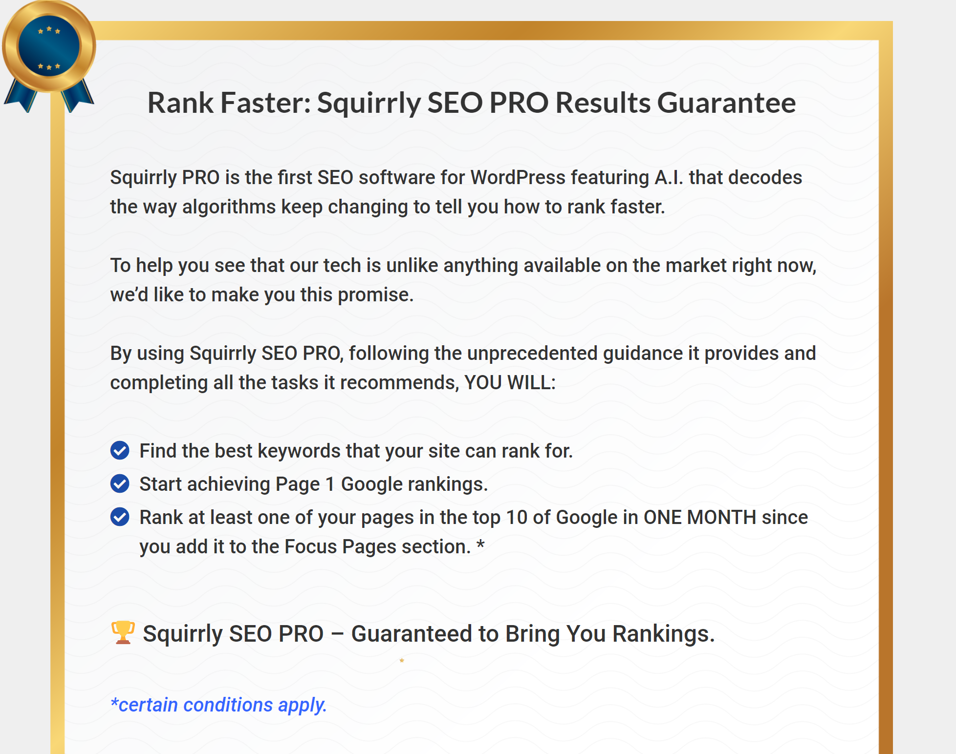 Plugin de revisão de SEO Squirrly Squirrly SEO review plugin