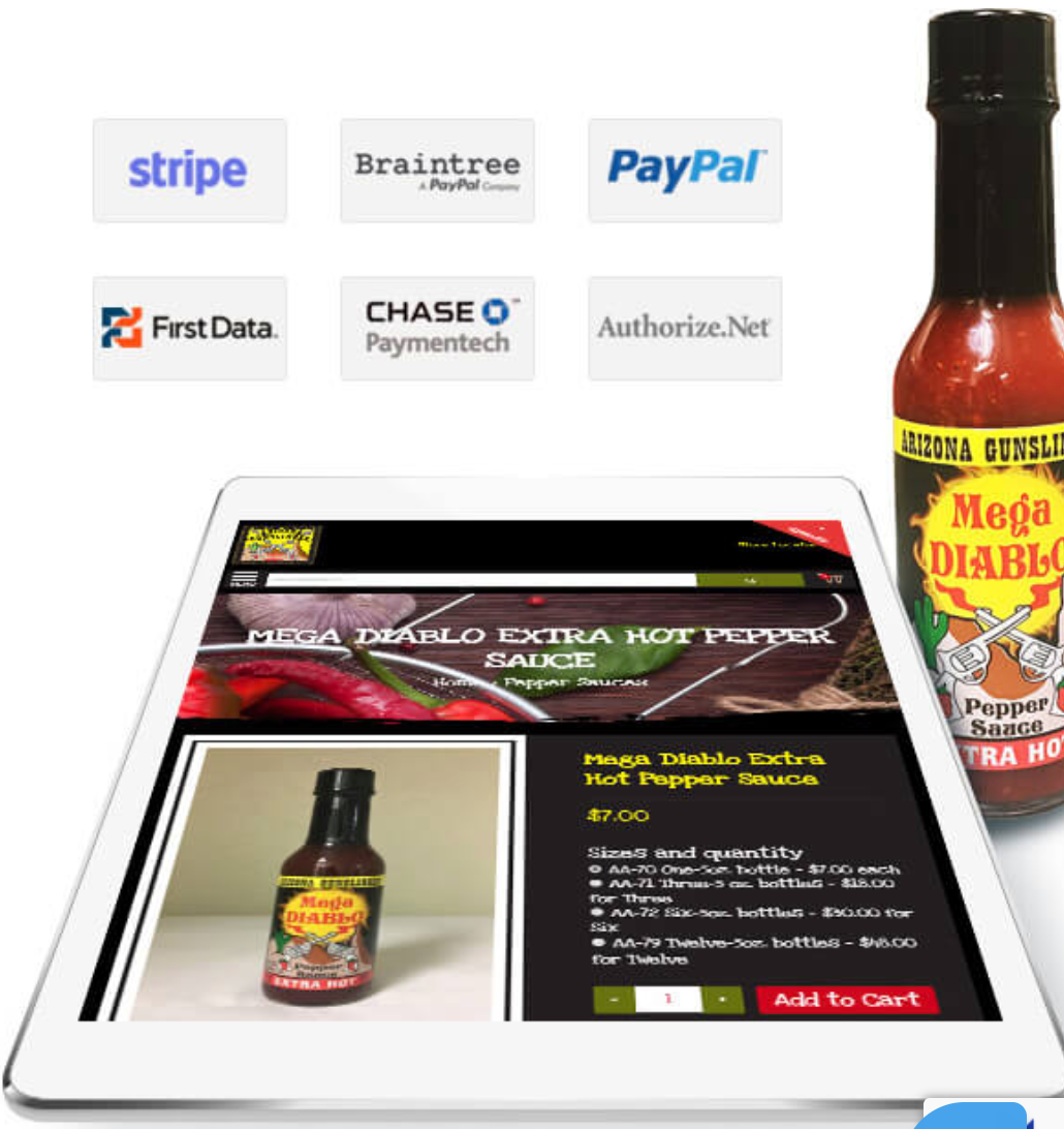 PinnacleCart レビュー - お支払い方法 PinnacleCart Review- Payment Method