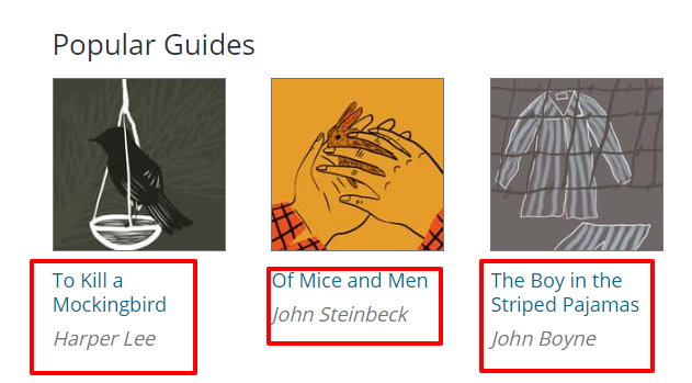 註釋評論書籍 enotes review- books