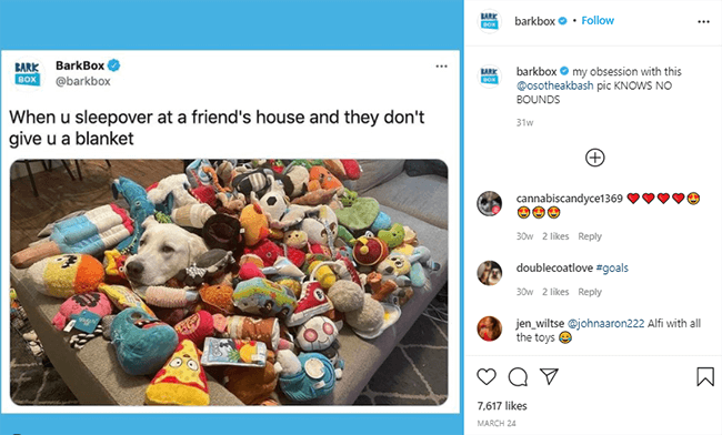 przykład mema z kory