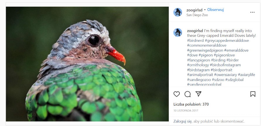 社交媒体监控 - Instagram 帖子