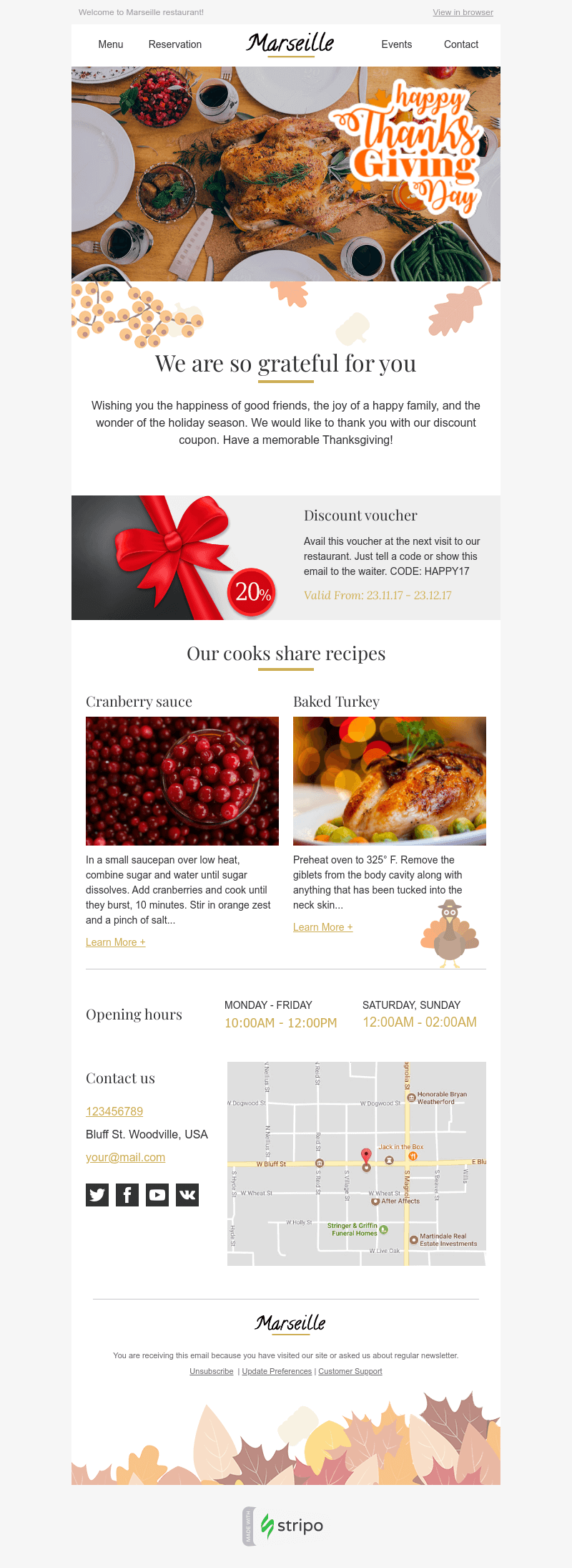 Templat Email Pengucapan Syukur yang Elegan thanksgiving email template by stripo