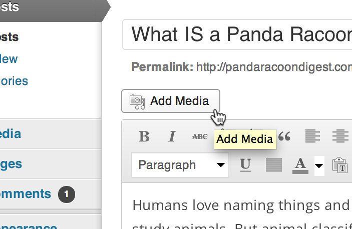 เพิ่มสื่อใน WordPress Add media In WordPress