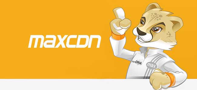 Max CDN_OPT