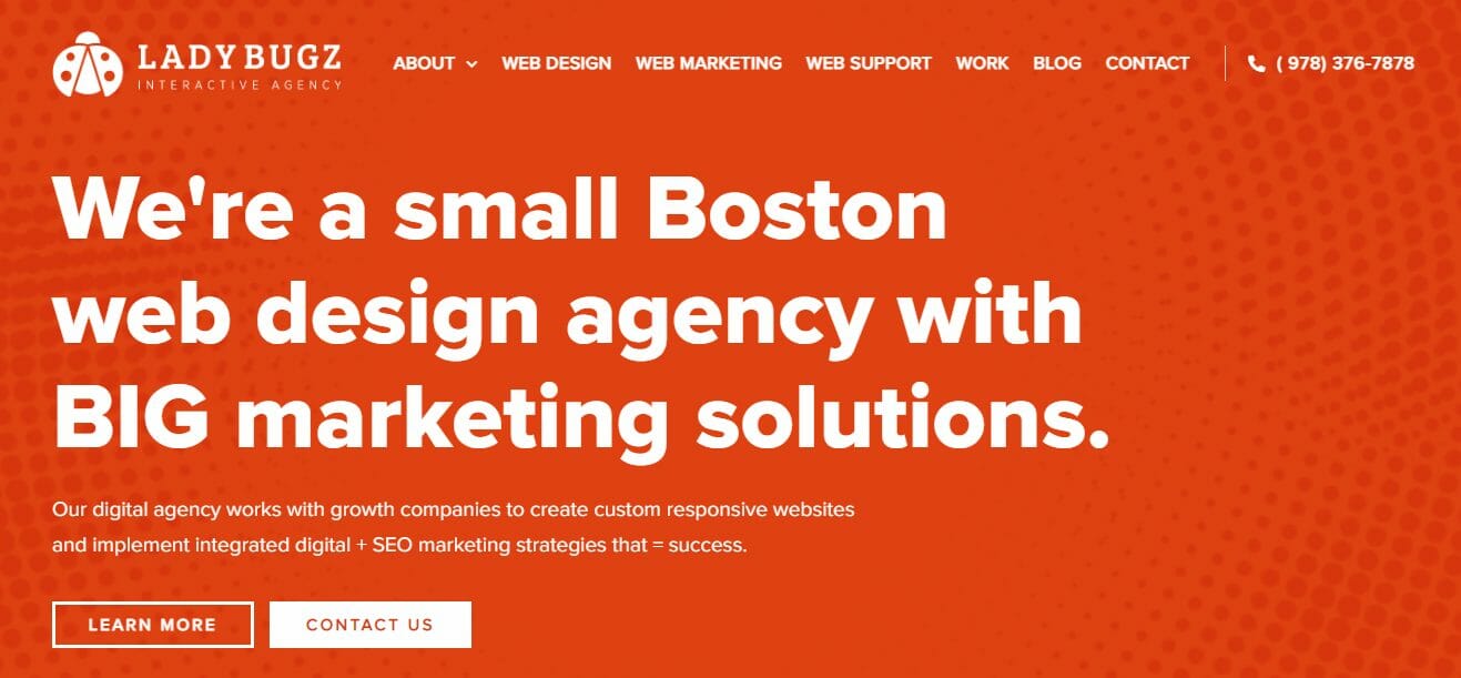 Ladybugz Interaktive Agentur