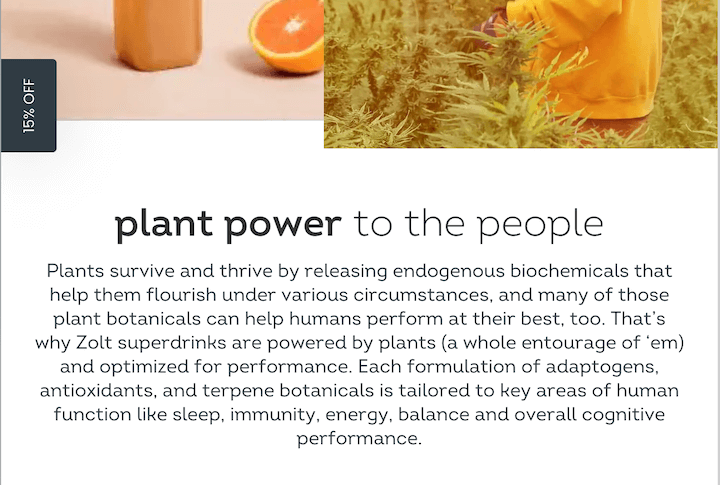 Пример питча в лифте — страница о компании zolt