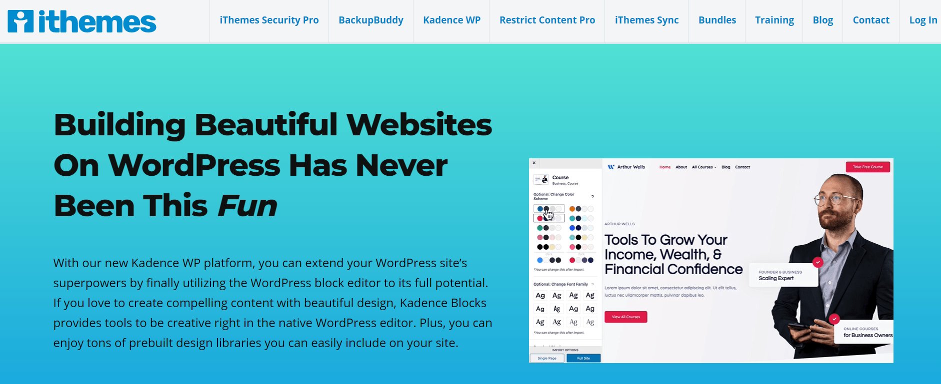 항목 검토 ithemes review