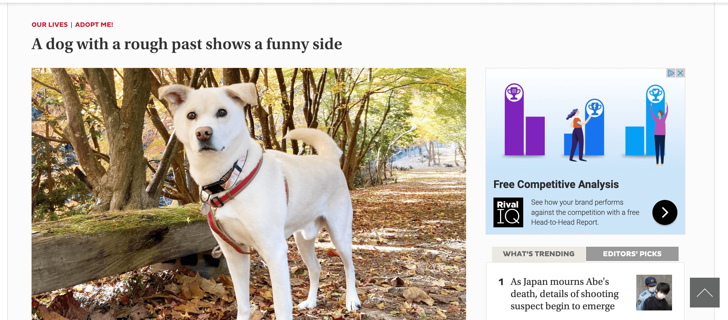 Contoh headline emosional dari Japan Times