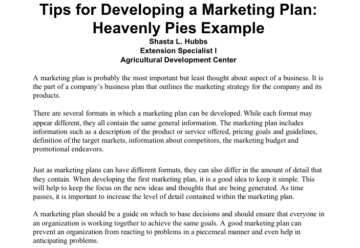 ヒント付きのマーケティング プランの例