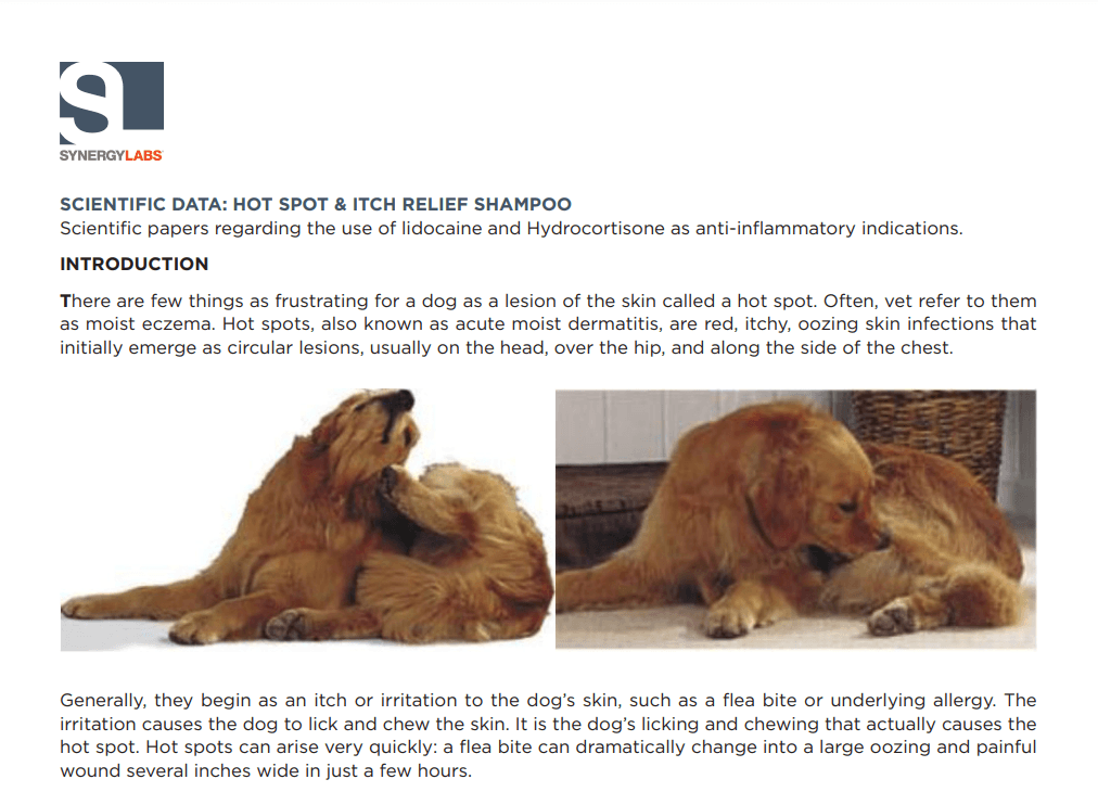 SynergyLabs の教育用ホワイト ペーパーの例。