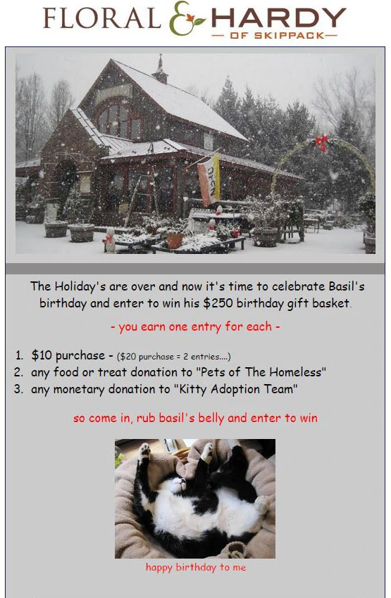 Rifa - Floral y Resistente