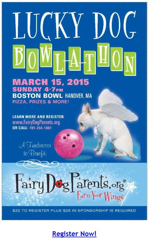 Invitación al evento - Fairy DogParents