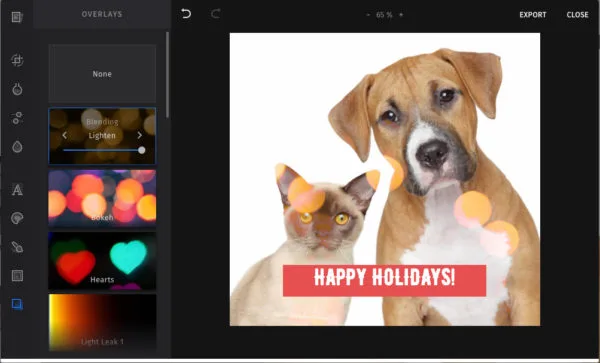 imagine de vacanță în Constant Contact