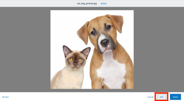 Editor de imagini de vacanță în Constant Contact