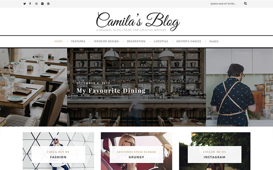 Camila - Minimal Blog WordPress Teması