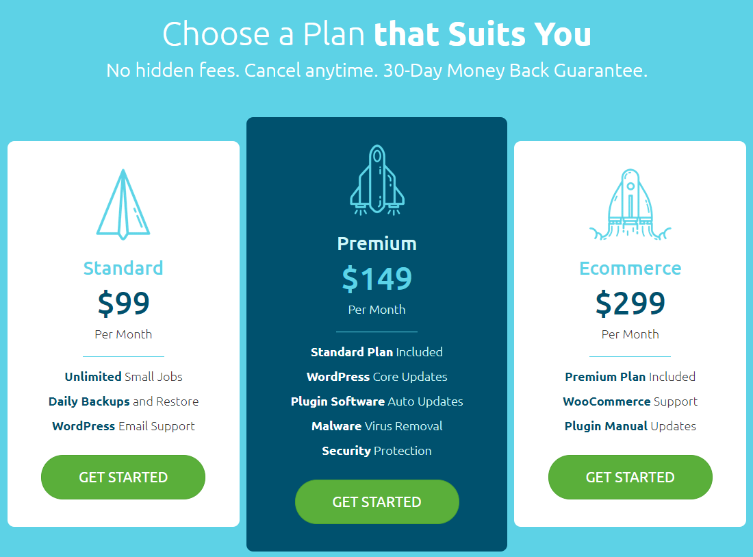  AccesWP Review- Pricing Plans 