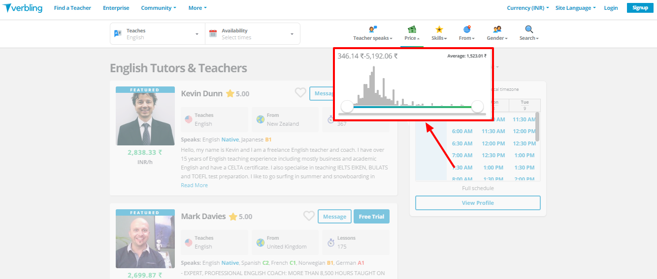 Recenzja werbalna - cena Verbling review - price