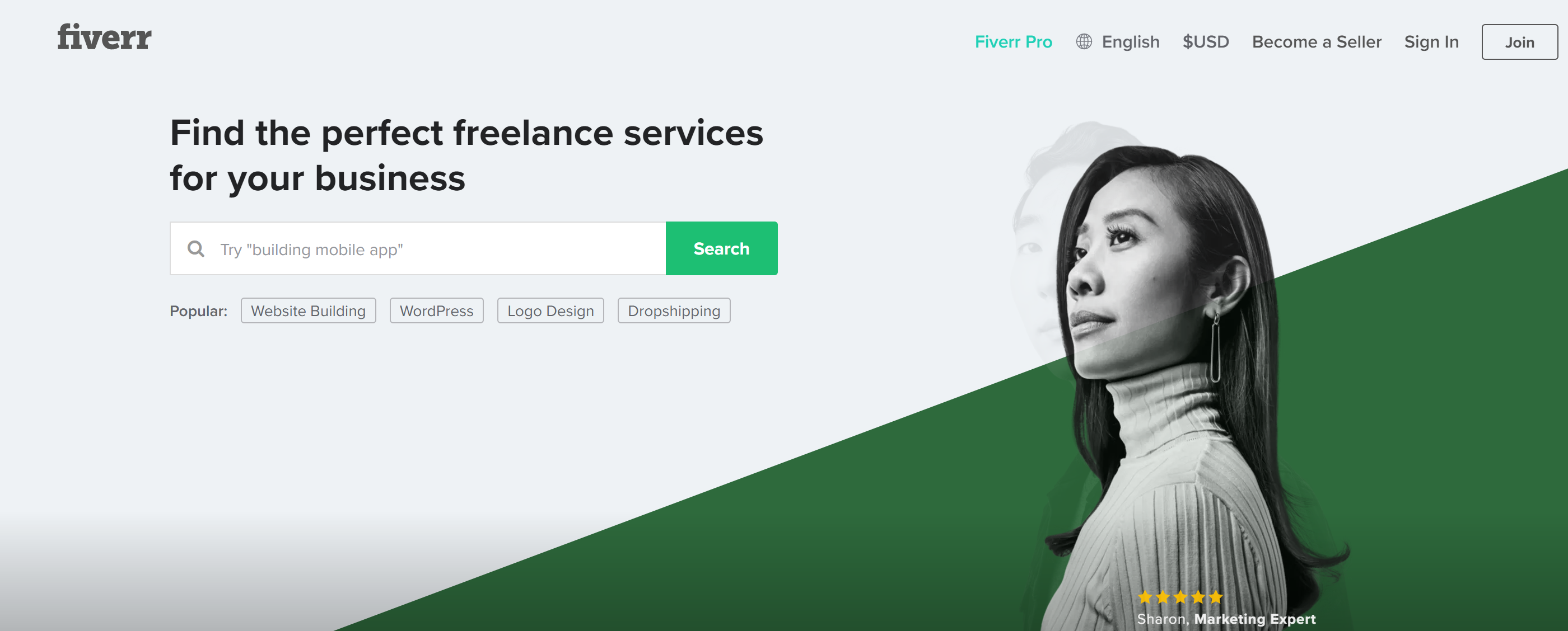 Reseñas de Fiverr en línea: mercado de Dropserviceing