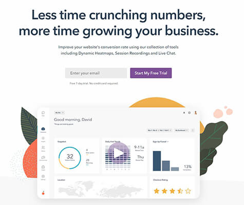 Homepage di Lucky Orange