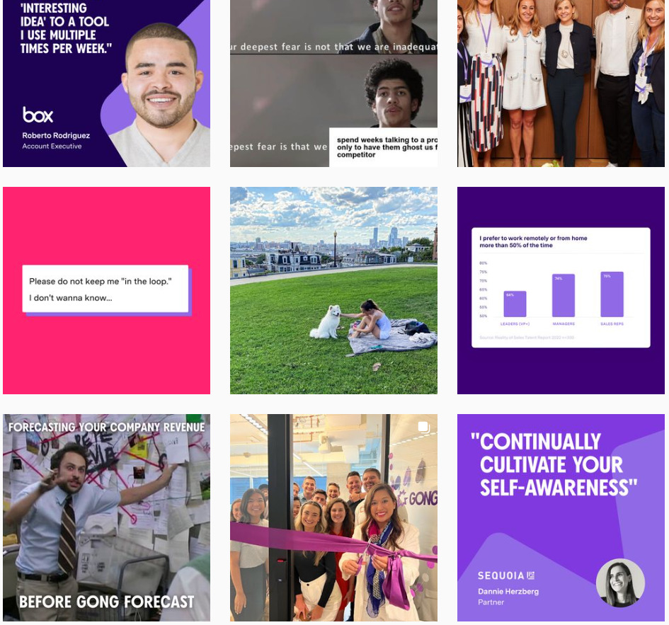 Captura de pantalla del feed de Instagram de Gong que muestra los colores de la marca púrpura, rosa y verde