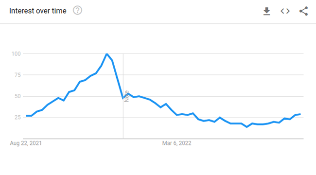 Pullover Google Trends
