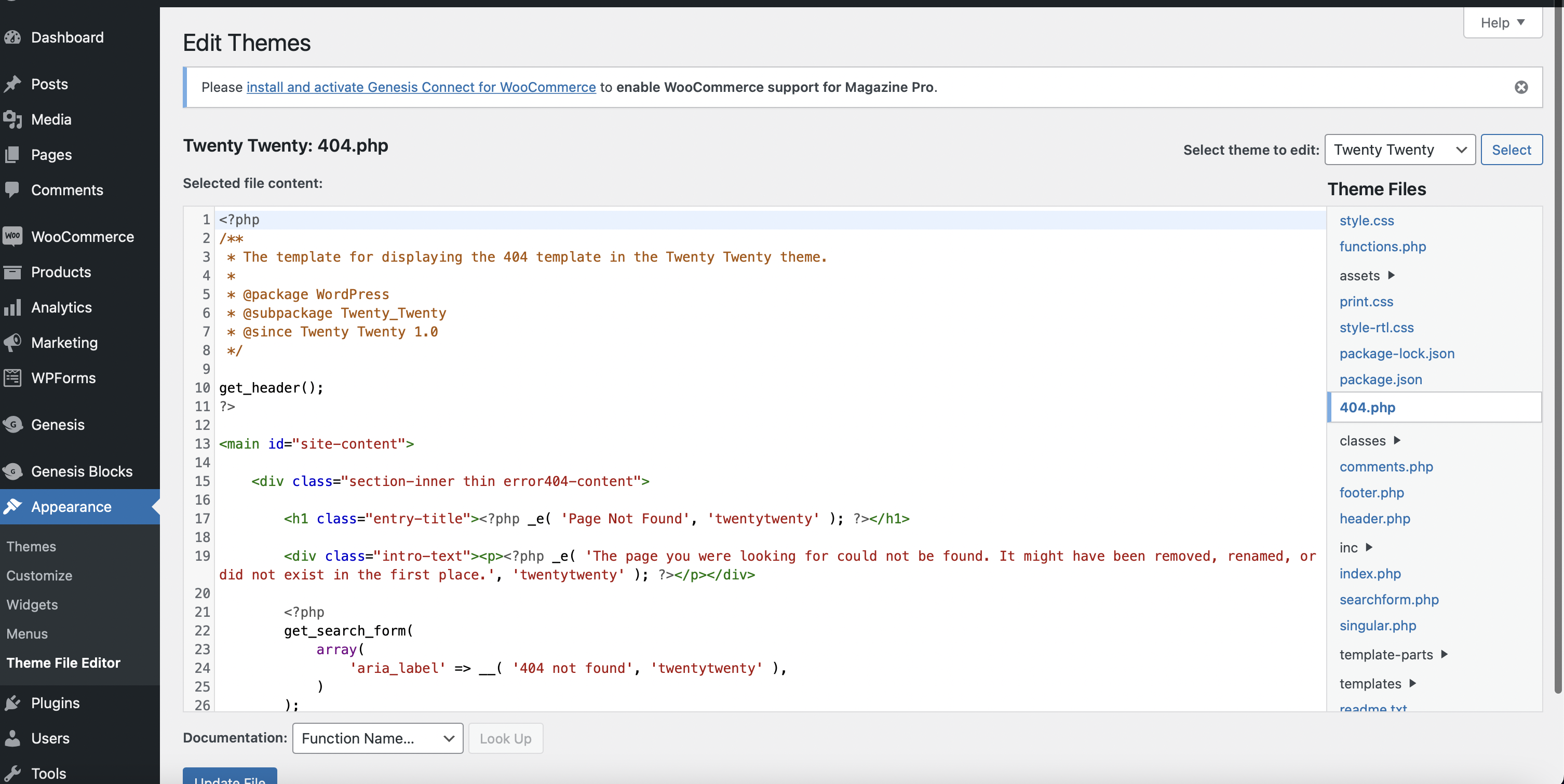 2020년 테마 404페이지