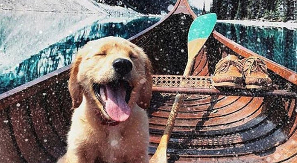 ユーザー作成コンテンツの例 3