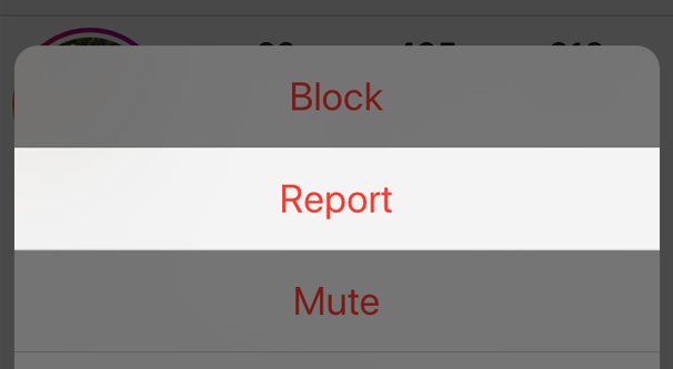 รายงานวิดีโอ