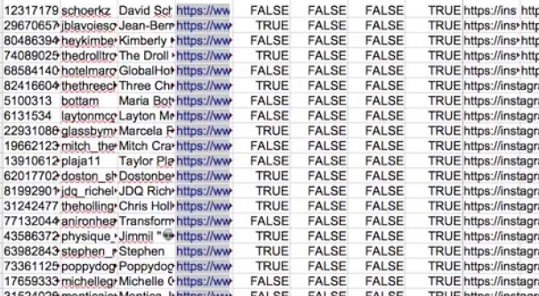 รายชื่อผู้ติดตาม Instagram แผ่นงาน Excel