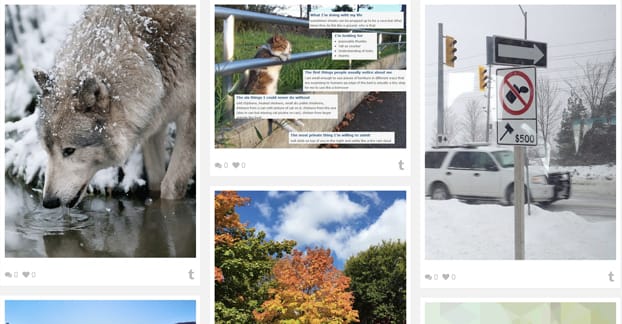 Esempio di spremiagrumi