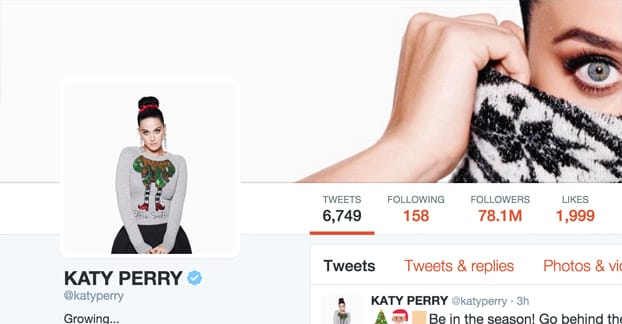 ツイッターペリー