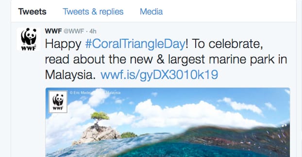 Exemple de etichete hash pentru organizații non-profit