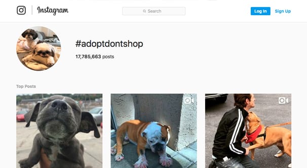 Ejemplo de publicaciones principales de Instagram